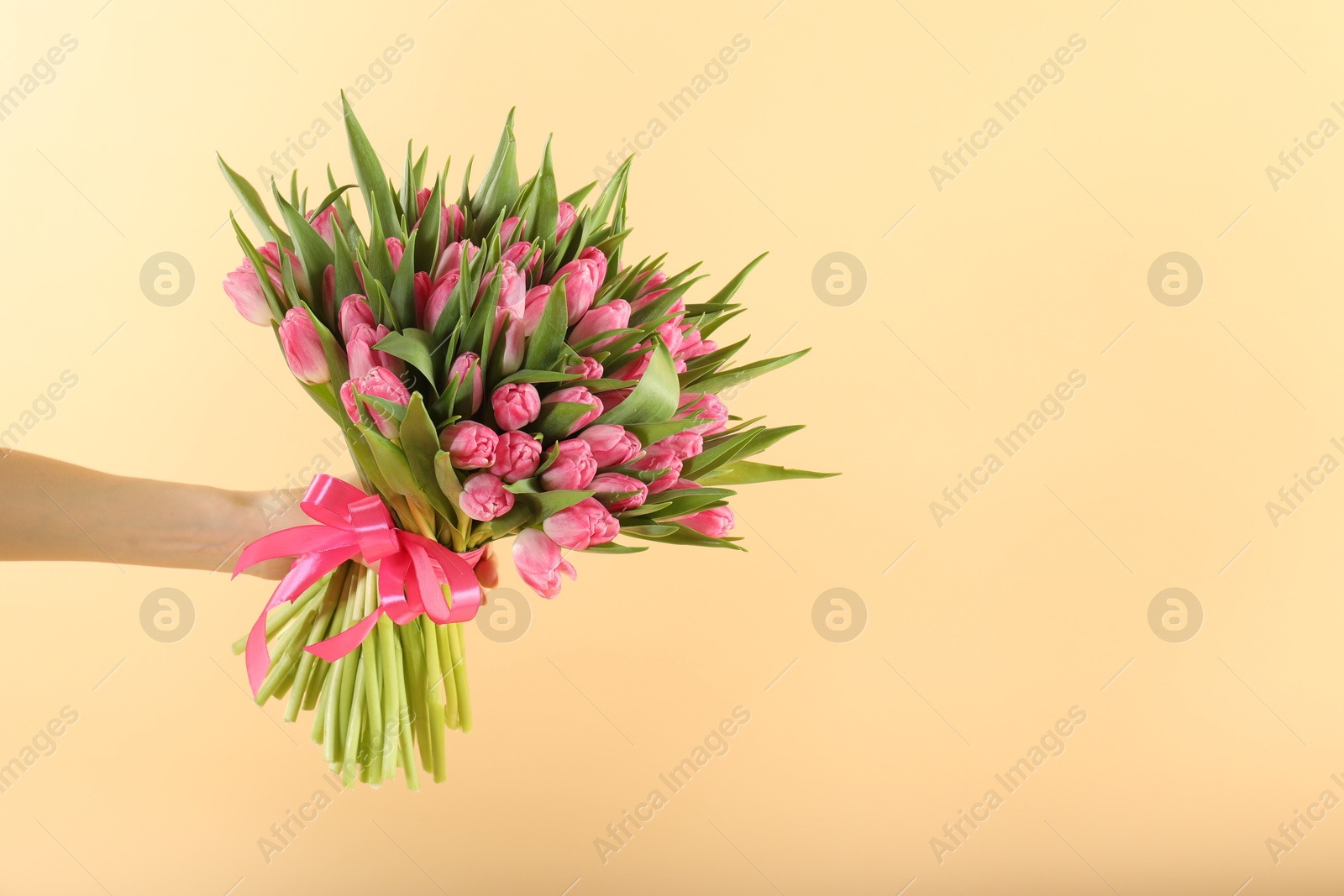 Photo of Woman with bouquet of beautiful tulips on beige background, closeup. Space for text