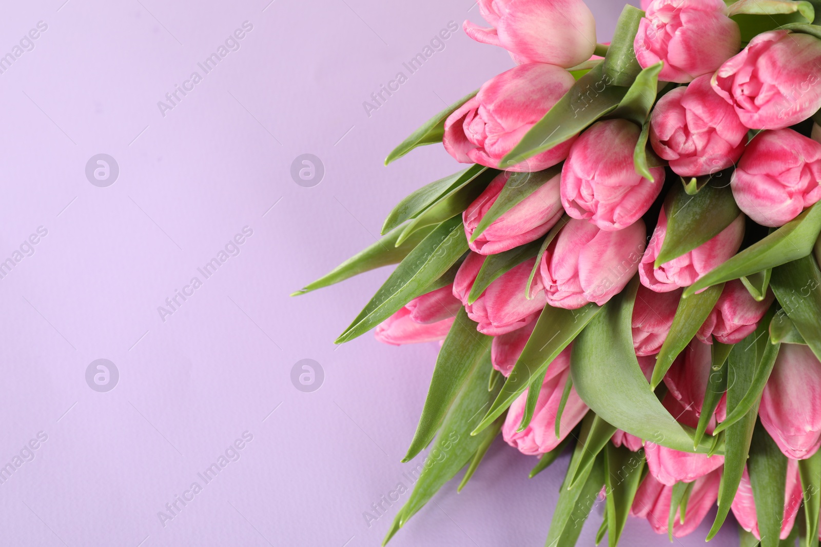 Photo of Bouquet of beautiful tulips on lilac background, closeup. Space for text