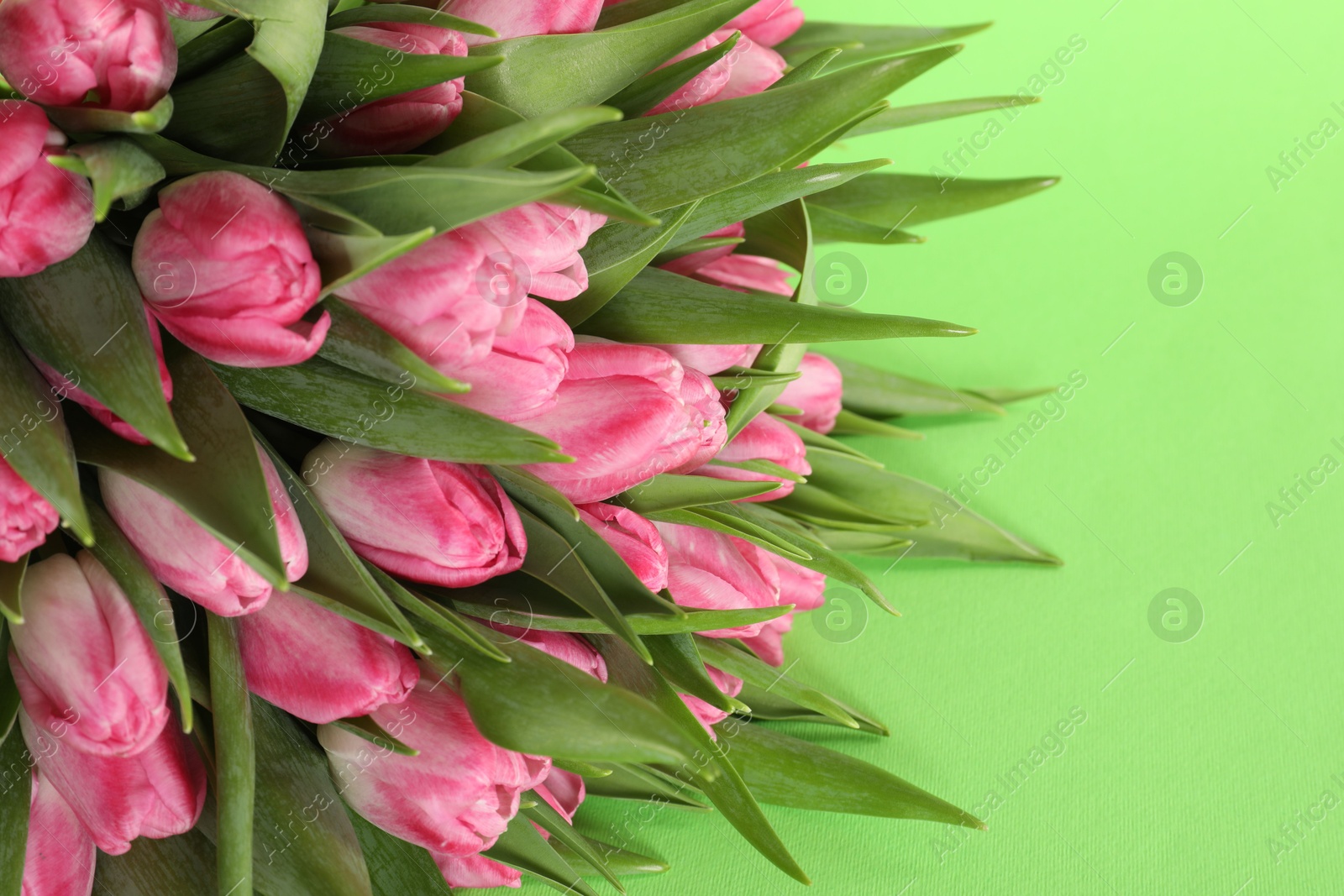 Photo of Bouquet of beautiful tulips on green background, closeup. Space for text