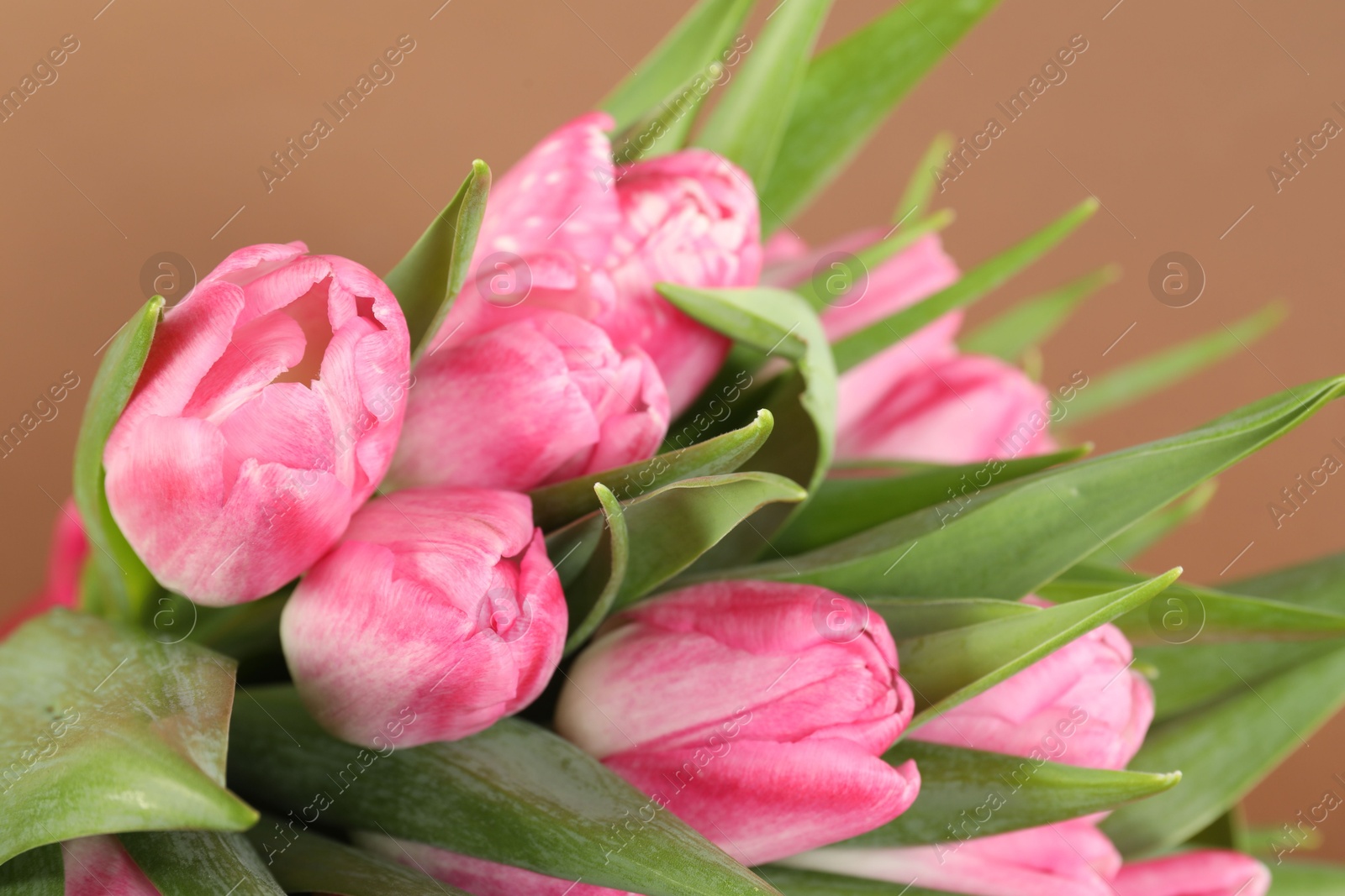 Photo of Bouquet of beautiful tulips on brown background, closeup