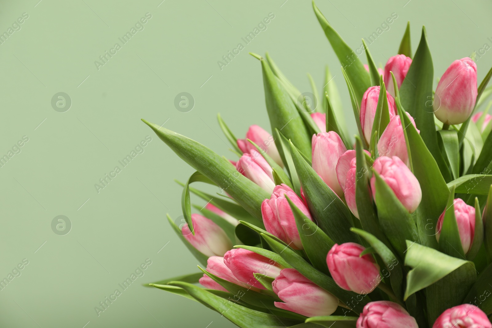 Photo of Bouquet of beautiful tulips on pale green background, closeup. Space for text