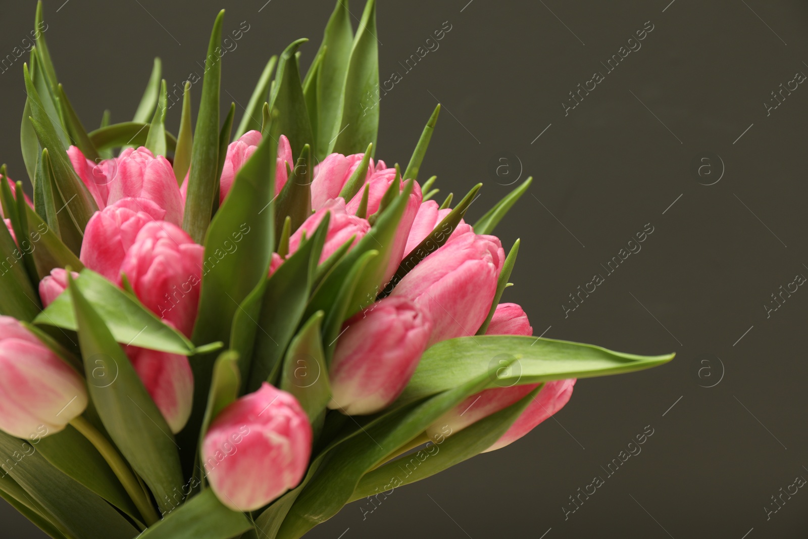 Photo of Bouquet of beautiful tulips on grey background, closeup