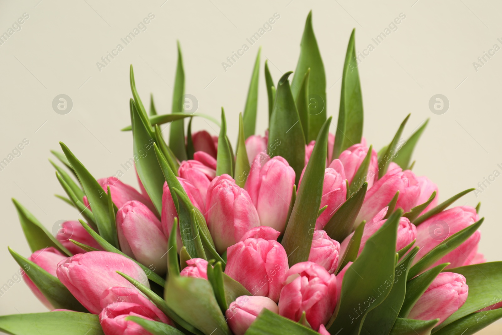 Photo of Bouquet of beautiful tulips on light grey background, closeup