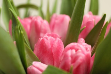 Photo of Bouquet of beautiful tulips on blurred background, closeup