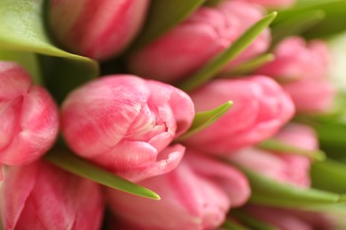 Photo of Bouquet of beautiful tulips on blurred background, closeup. Space for text