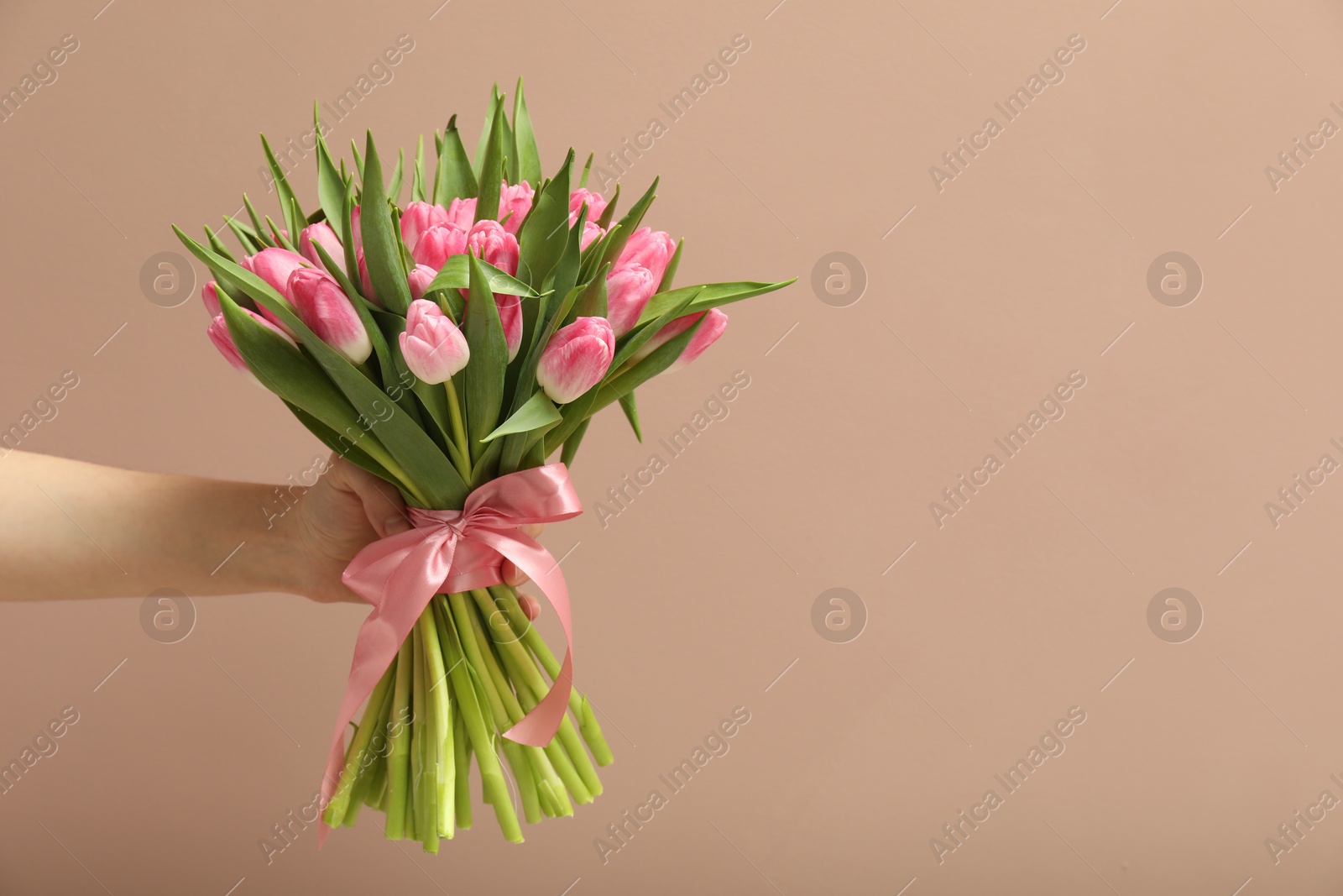 Photo of Woman with bouquet of beautiful tulips on dark beige background, closeup. Space for text