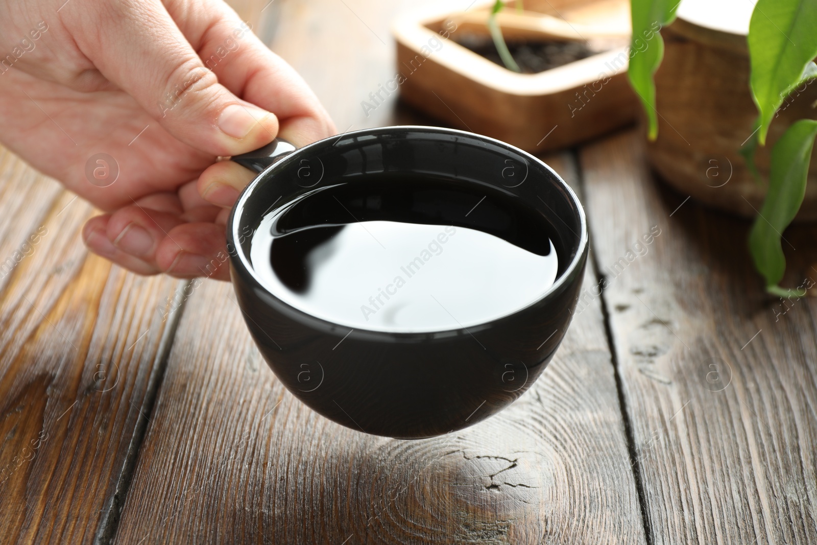 Woman with freshly brewed tea at wooden table, closeup Photo of Woman with freshly brewed tea at wooden table, closeup