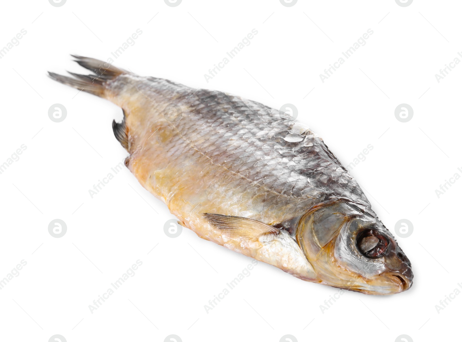 Photo of Dried salted roach fish isolated on white