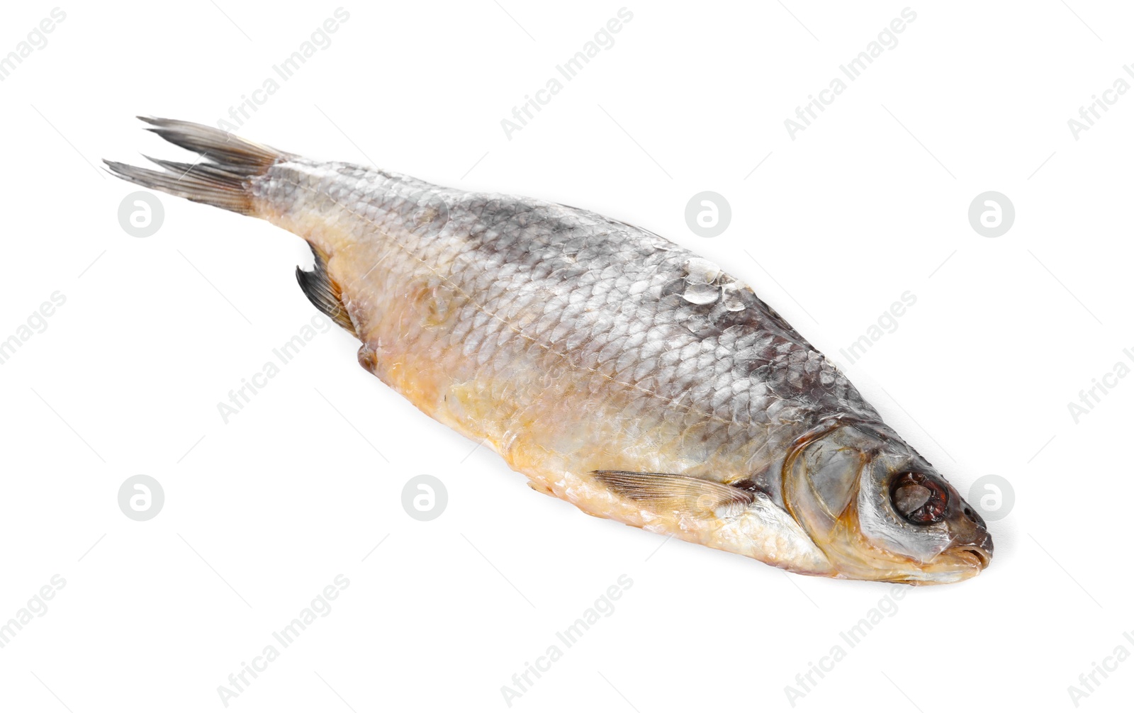 Photo of Dried salted roach fish isolated on white