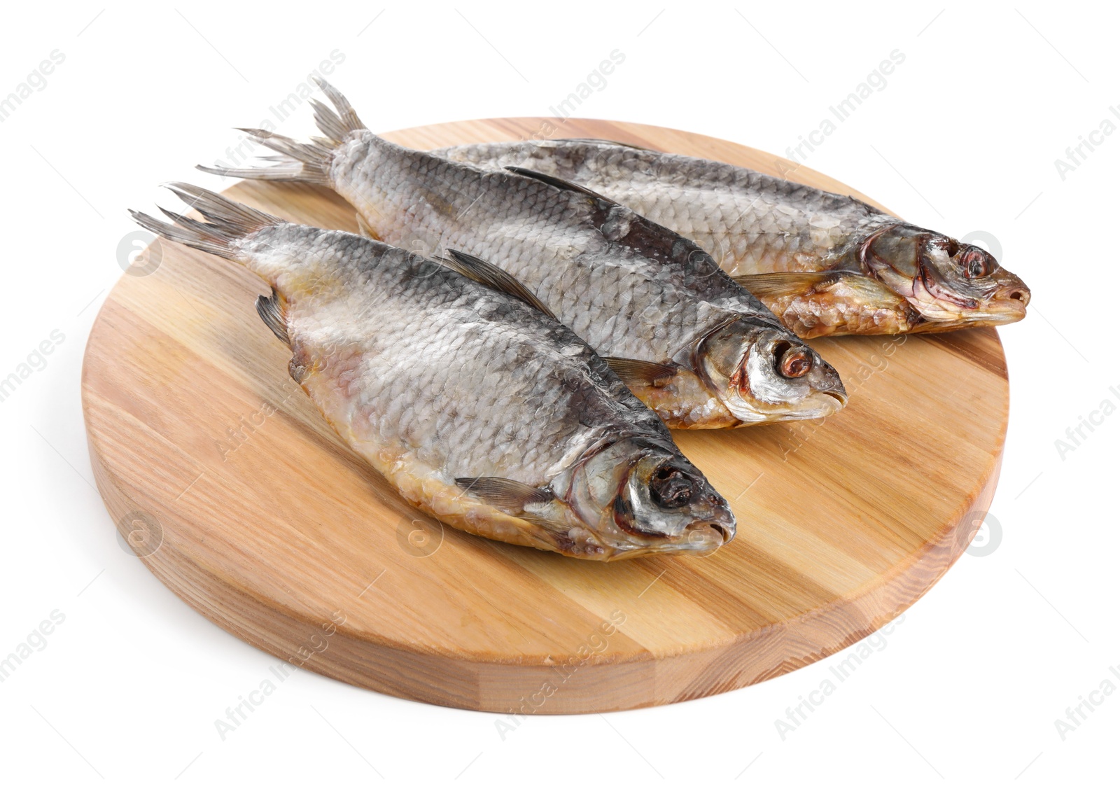 Photo of Dried salted roach fish isolated on white