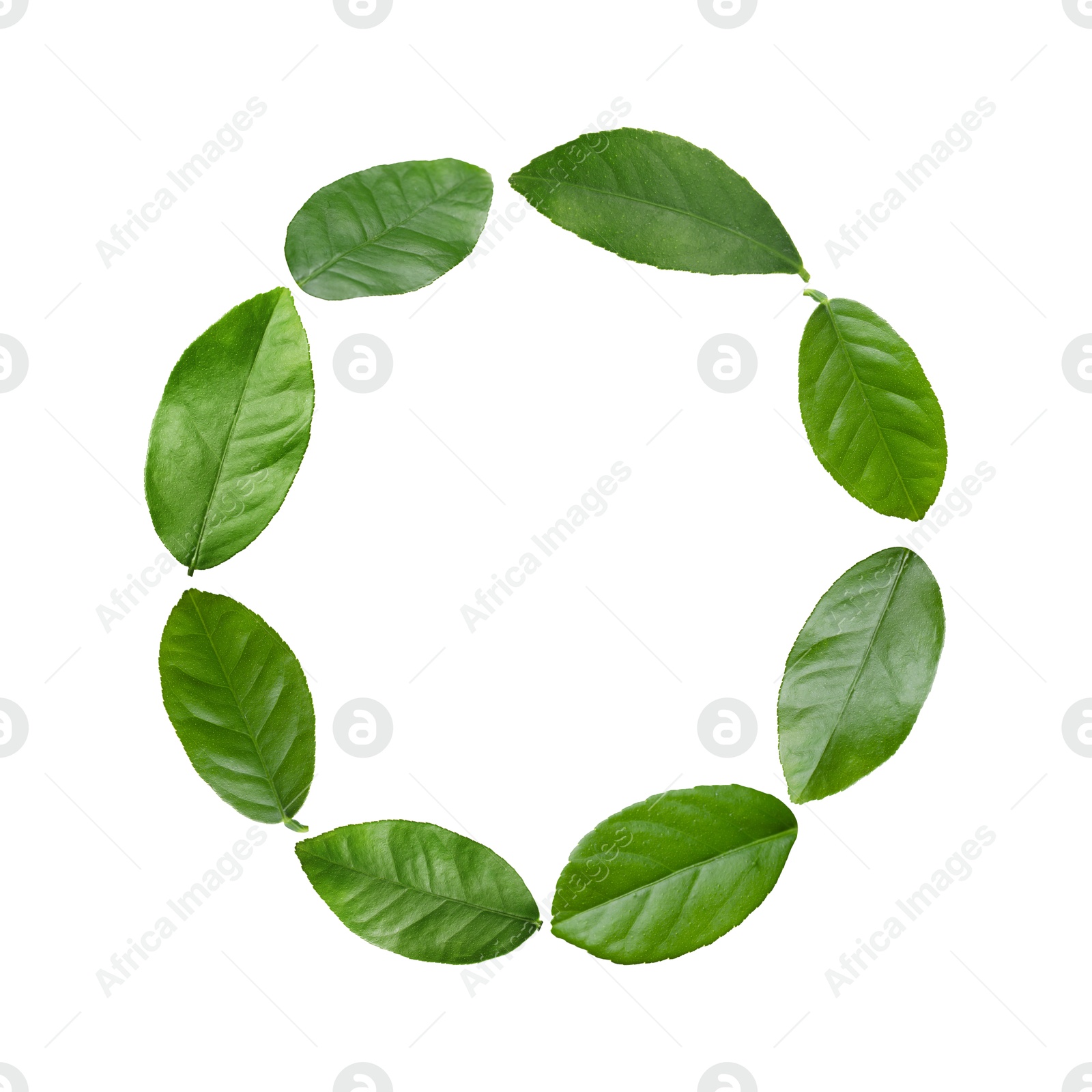 Image of Green leaves swirling in air on white background