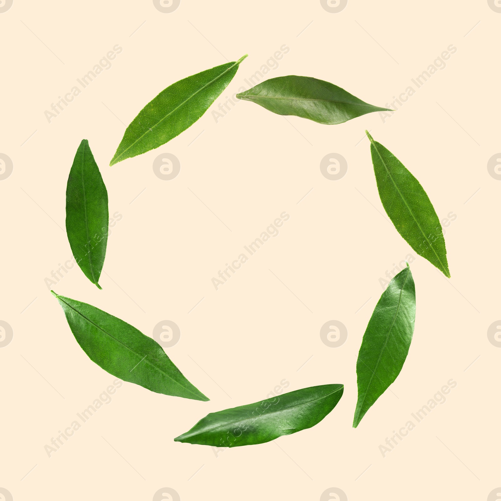 Image of Green leaves swirling in air on beige background