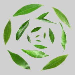 Image of Green leaves swirling in air on grey background