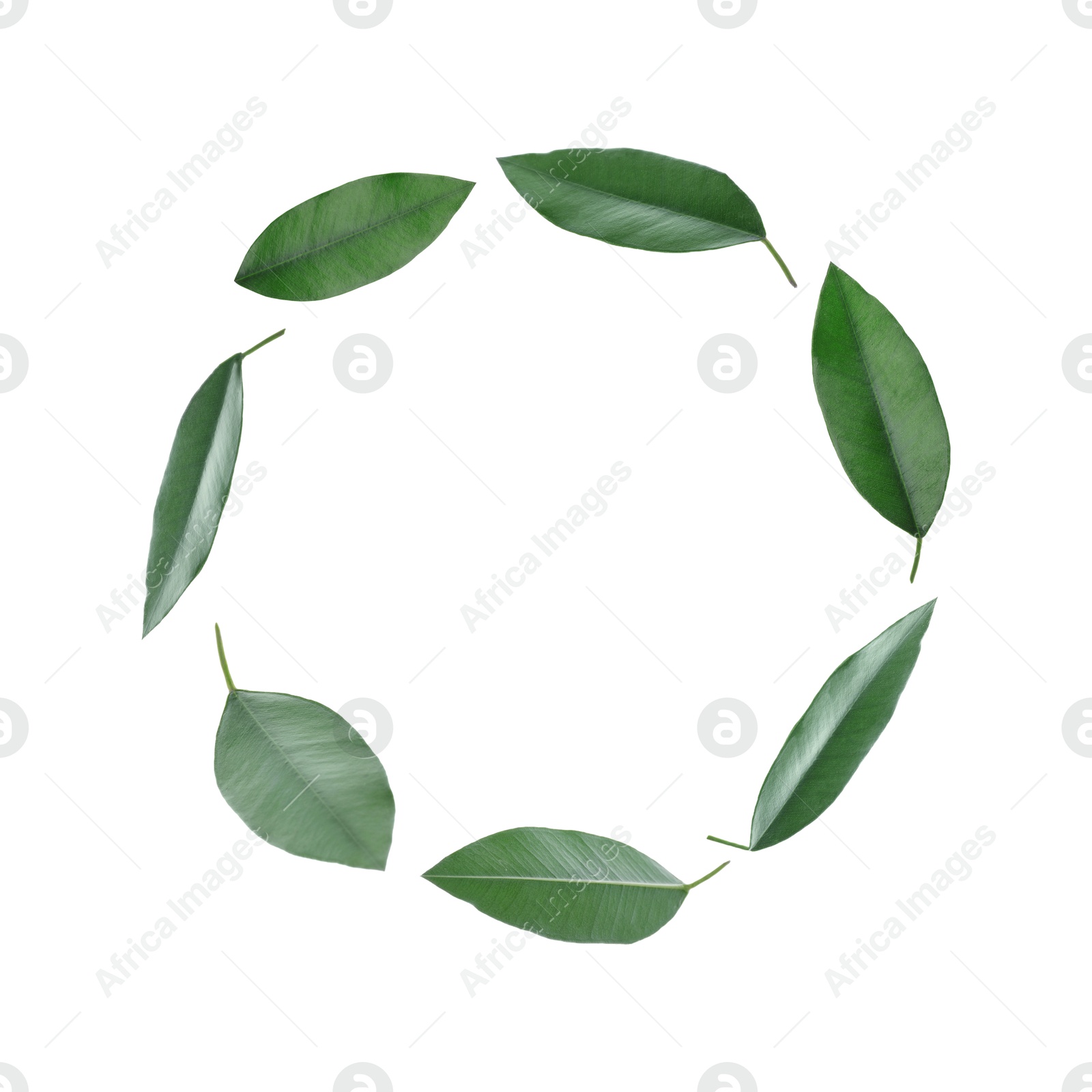 Image of Green leaves swirling in air on white background