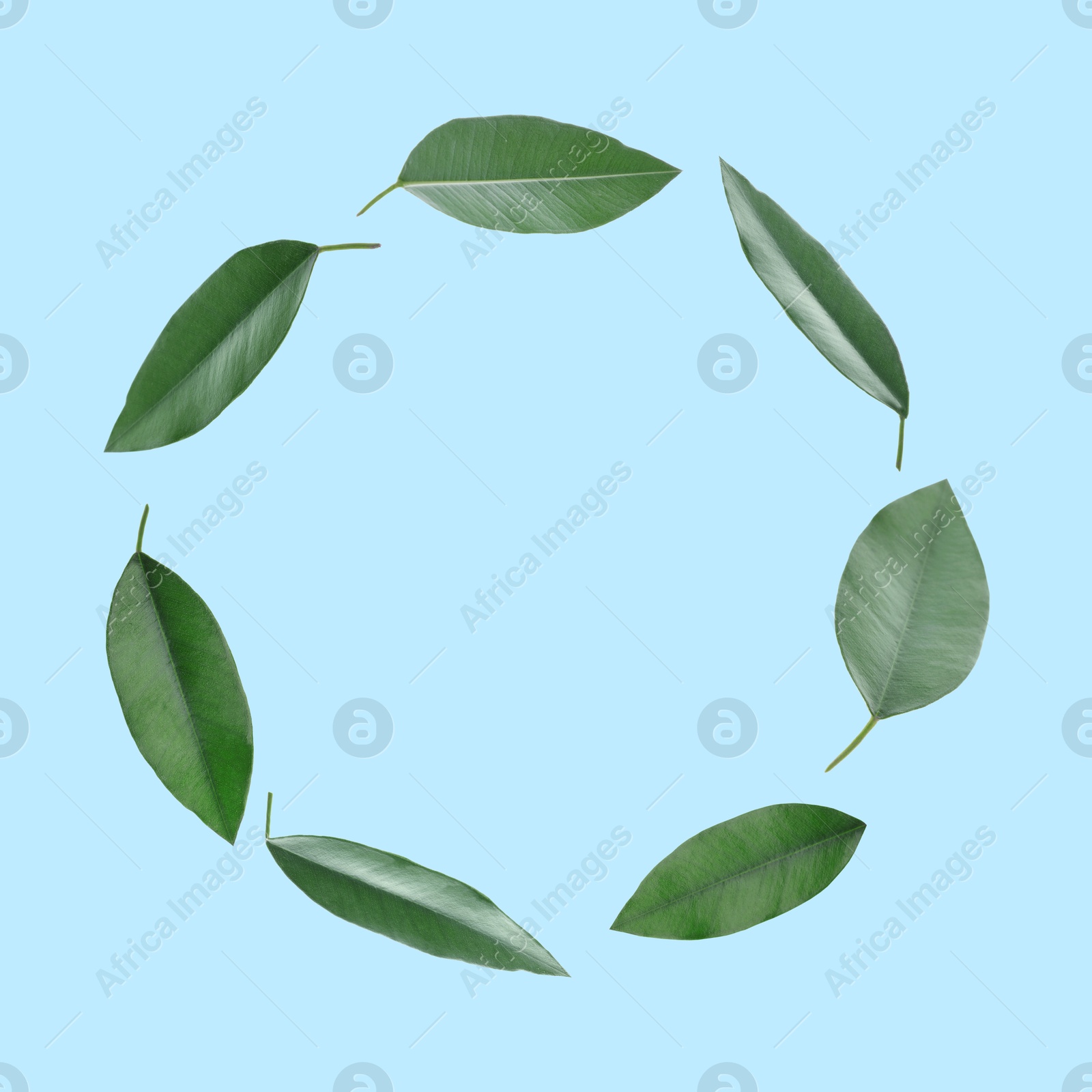 Image of Green leaves swirling in air on light blue background