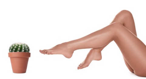 Image of Epilation, hair removal. Woman with smooth skin on legs and potted cactus against white background