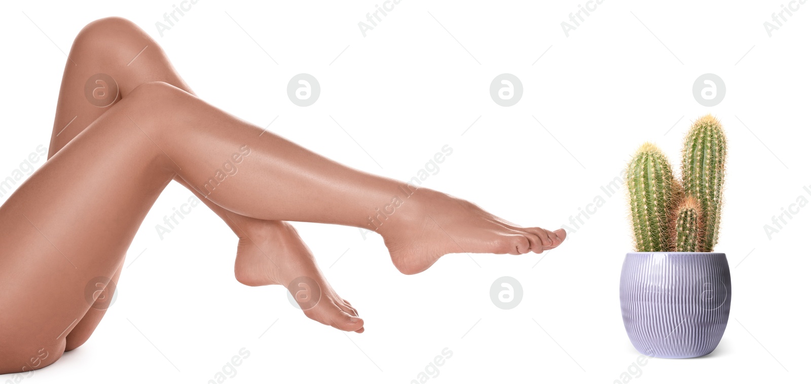 Image of Epilation, hair removal. Woman with smooth skin on legs and potted cacti against white background