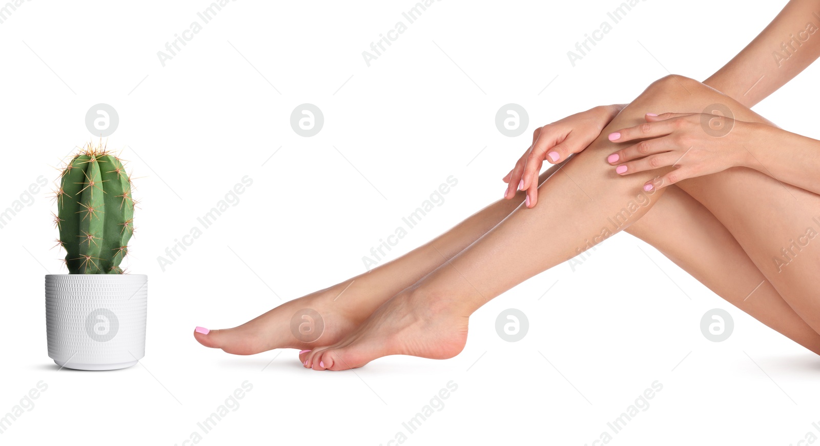 Image of Epilation, hair removal. Woman with smooth skin on legs and potted cactus against white background