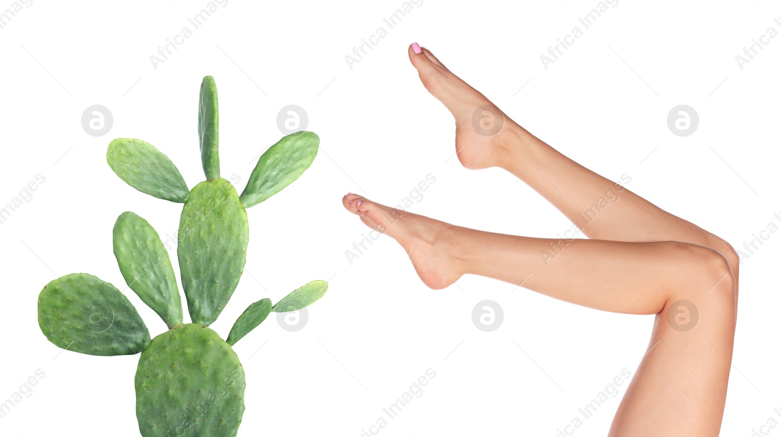 Image of Epilation, hair removal. Woman with smooth skin on legs and cactus against white background