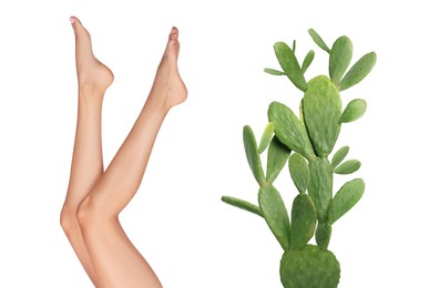 Image of Epilation, hair removal. Woman with smooth skin on legs and cactus against white background