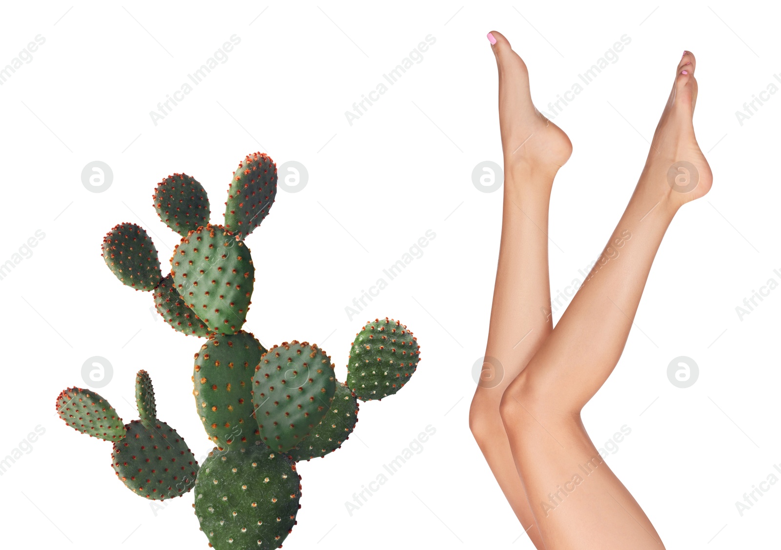 Image of Epilation, hair removal. Woman with smooth skin on legs and cactus against white background