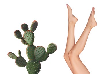 Image of Epilation, hair removal. Woman with smooth skin on legs and cactus against white background