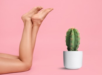 Image of Epilation, hair removal. Woman with smooth skin on legs and potted cactus against pink background