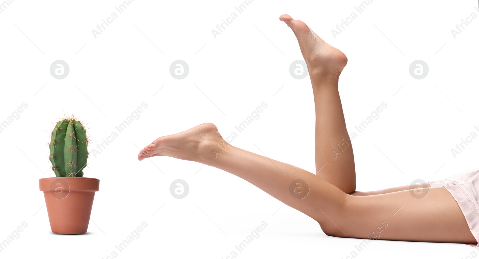 Image of Epilation, hair removal. Woman with smooth skin on legs and potted cactus against white background