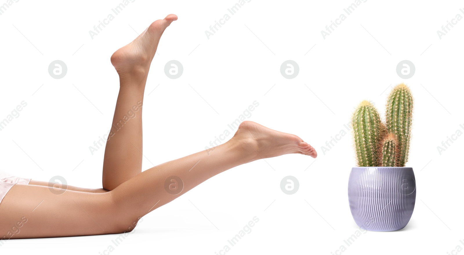 Image of Epilation, hair removal. Woman with smooth skin on legs and potted cacti against white background