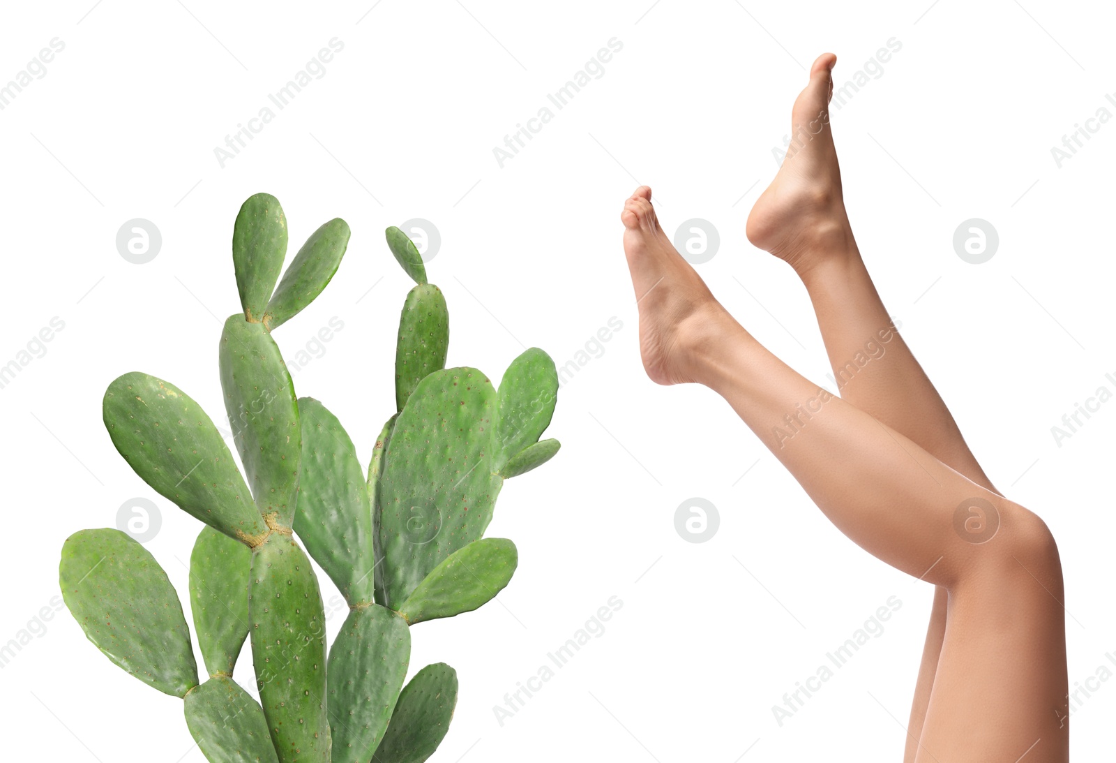 Image of Epilation, hair removal. Woman with smooth skin on legs and cactus against white background