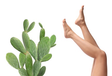 Image of Epilation, hair removal. Woman with smooth skin on legs and cactus against white background