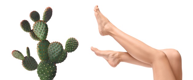 Image of Epilation, hair removal. Woman with smooth skin on legs and cactus against white background