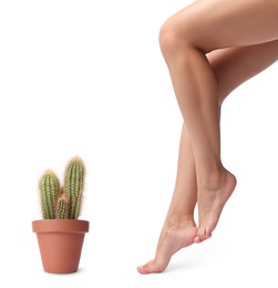 Image of Epilation, hair removal. Woman with smooth skin on legs and potted cacti against white background