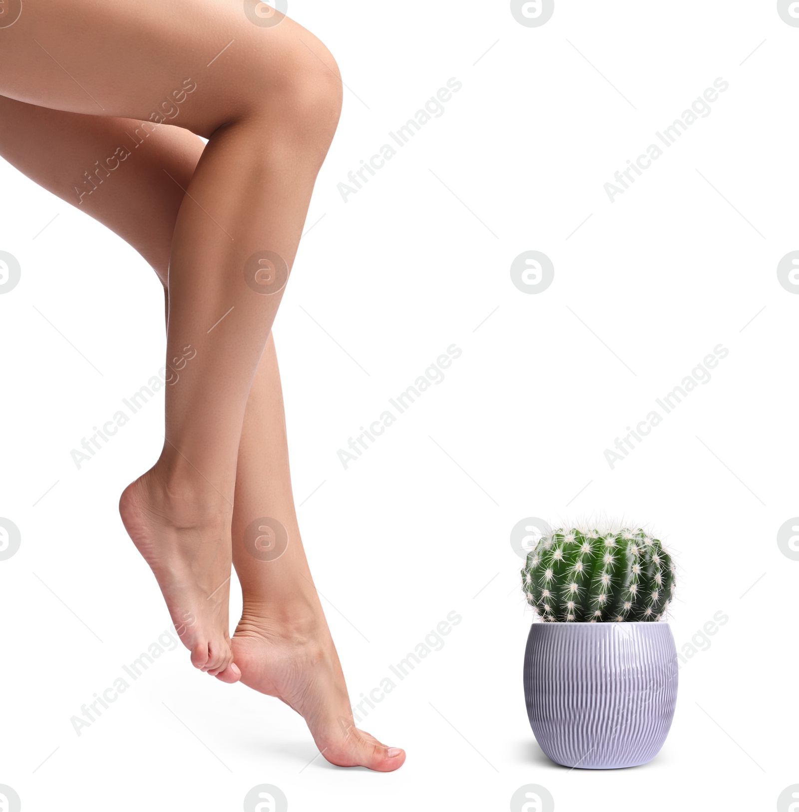 Image of Epilation, hair removal. Woman with smooth skin on legs and potted cactus against white background