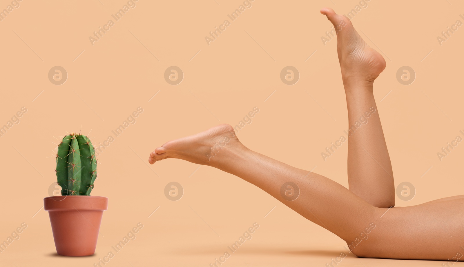 Image of Epilation, hair removal. Woman with smooth skin on legs and potted cactus against peach color background