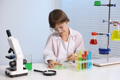 Little boy doing chemical experiment at desk indoors