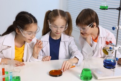 Photo of Children doing chemical experiment at desk indoors