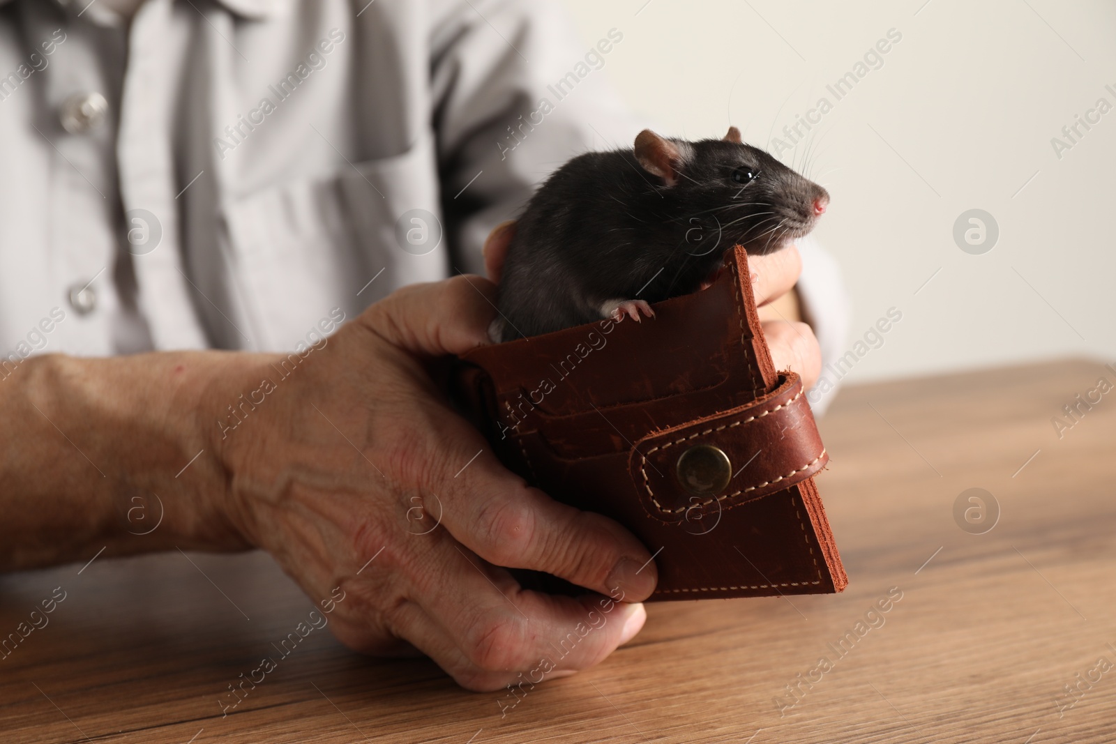 Photo of Senior man holding wallet with rat at wooden table, closeup. Financial problems