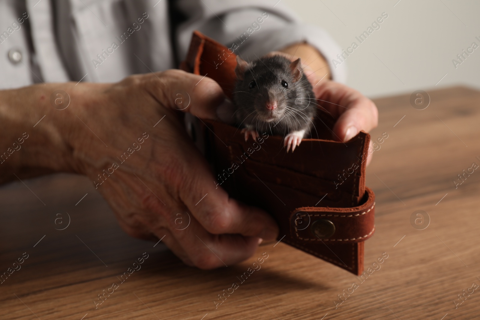 Photo of Senior man holding wallet with rat at wooden table, closeup. Financial problems