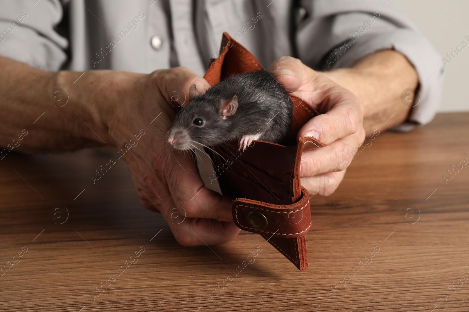 Photo of Senior man holding wallet with rat at wooden table, closeup. Financial problems