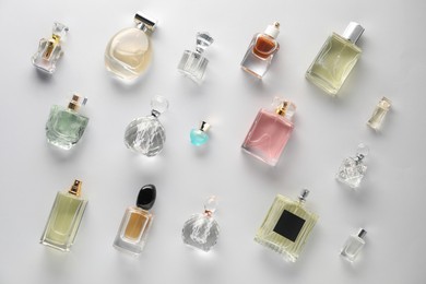 Photo of Bottles of various perfumes on light background, flat lay