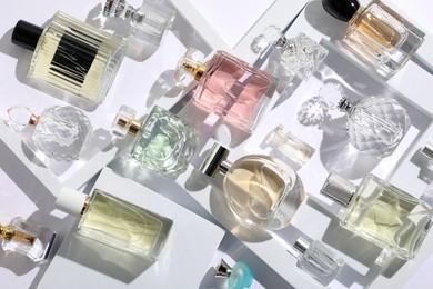 Photo of Different luxury perfumes on white background, flat lay