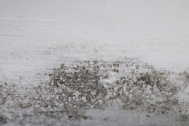 Photo of Wall affected with black mold indoors, closeup view