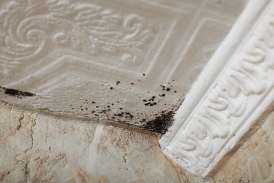 Photo of Wall affected with black mold indoors, closeup view