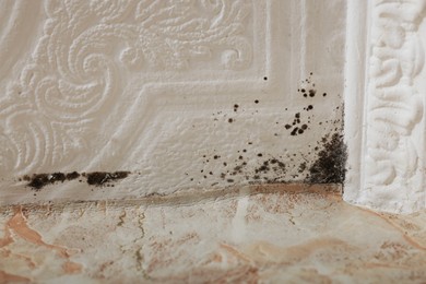 Photo of Wall affected with black mold indoors, closeup view