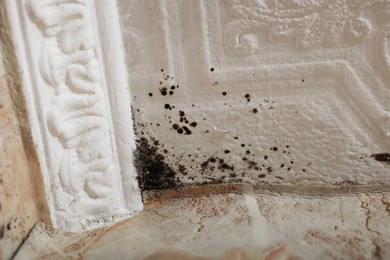 Photo of Wall affected with black mold indoors, closeup view