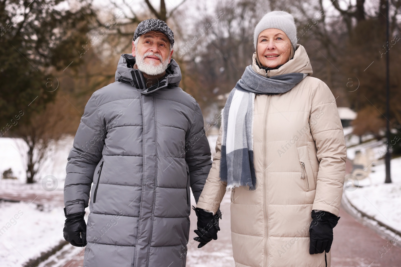 Photo of Happy senior couple holding hands in winter park