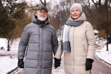 Happy senior couple holding hands in winter park