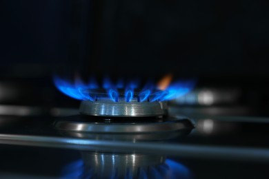 Photo of Gas burner with blue flame on stove, closeup