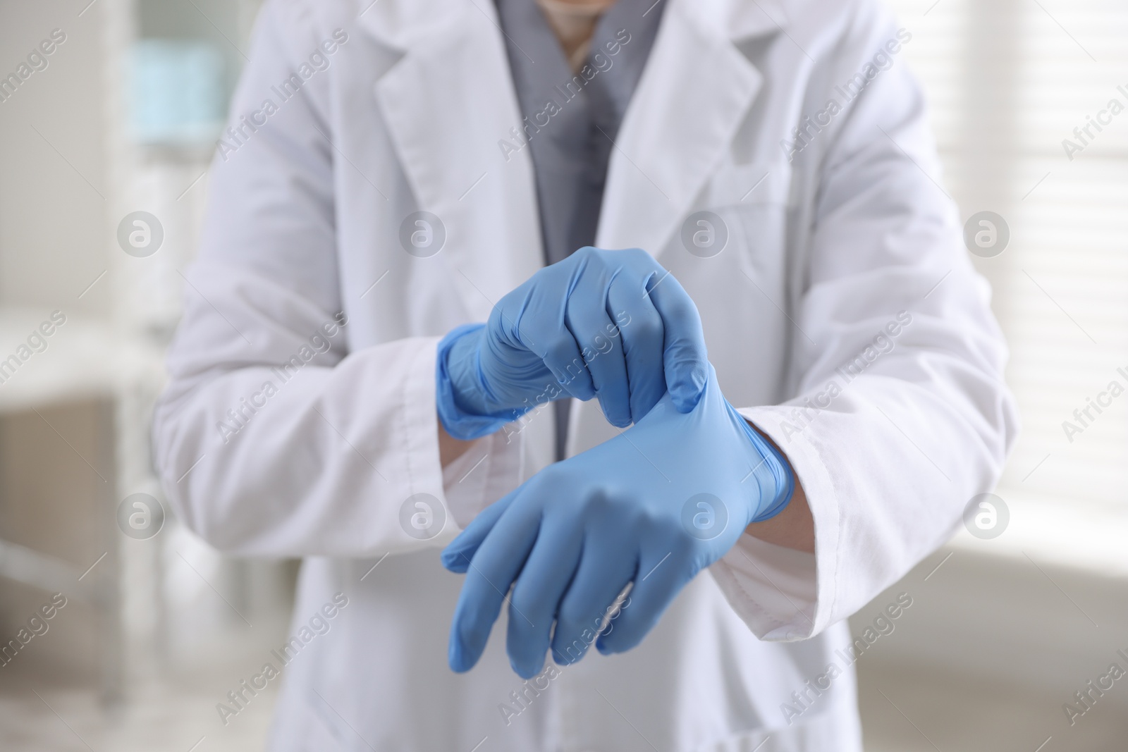 Photo of Doctor putting on medical gloves in hospital, closeup